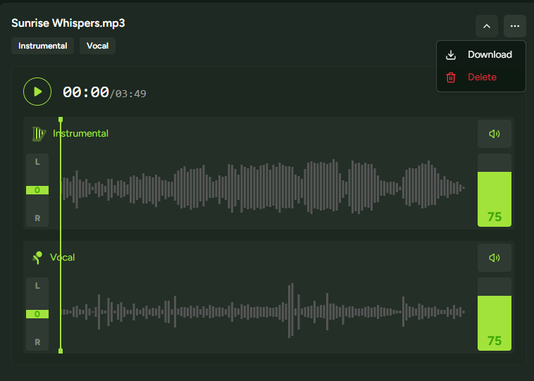 Preview adjust and download